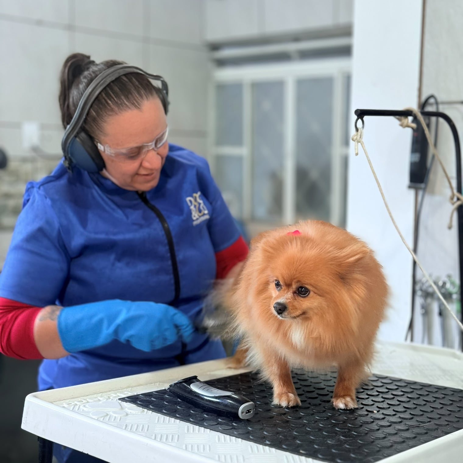 Profissional da Climvet durante a tosa de um cão
