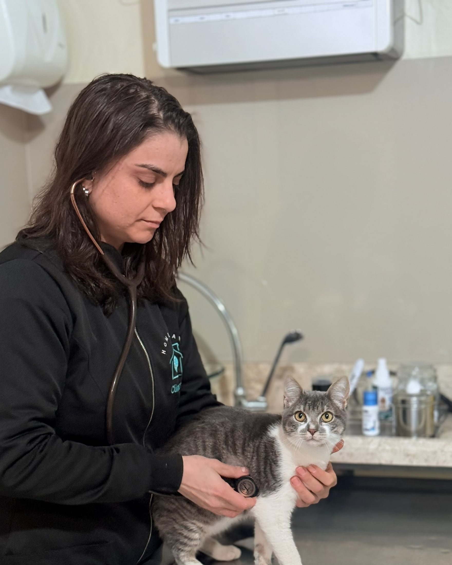 Veterinária da Climvet examinando um gato durante consulta