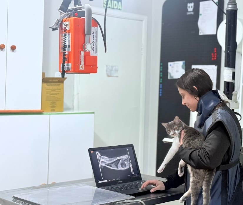 Profissional da Climvet com um gato no colo avaliando um raio-X no computador