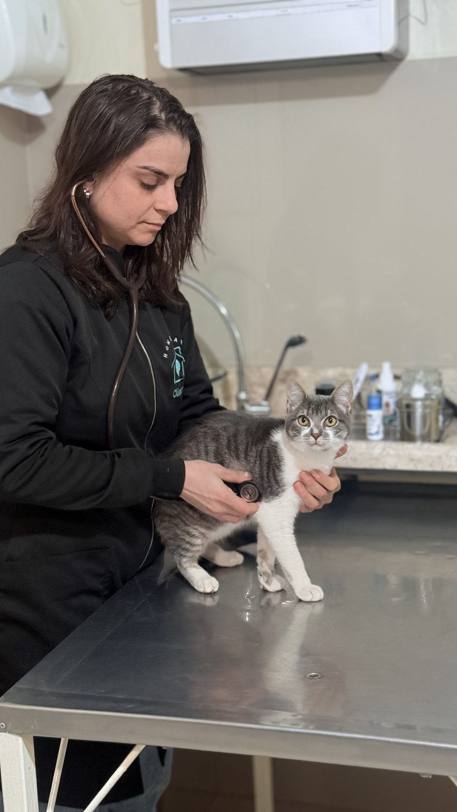 Veterinária da Climvet auscultando um gato durante a consulta