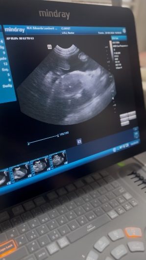 Tela do aparelho de ultrassom da Climvet durante um exame