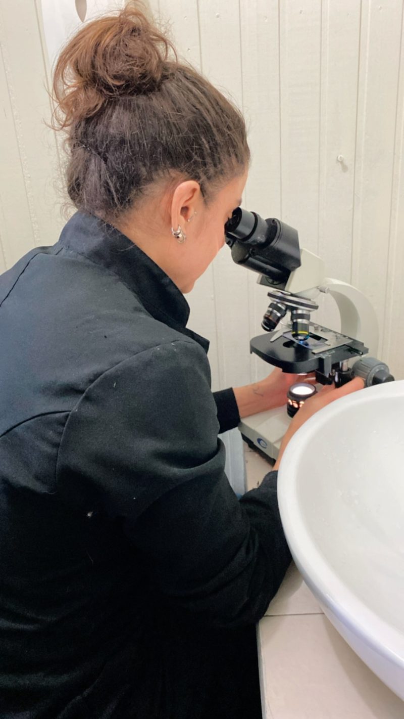 Veterinária da Climvet analisando lâmina no microscópio