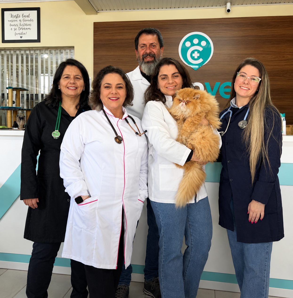 Equipe de veterinárias e veterinário da Climvet na recepção da clínica, uma delas com um gato persa no colo